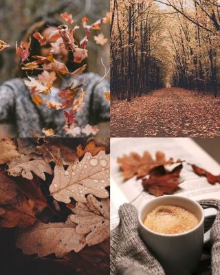 Krásný den! Nastal čas se opět podělit o novinky, inspirace i zákulisí našeho e-shopu. Děkujeme Vám všem, kdo jste tu s...