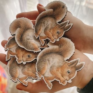 Milá a roztomilá novinka 🐿️ Magnetky a klíčenky s veverkou, které vykouzlí úsměv - malý dárek, velká radost 🎁🐿️...